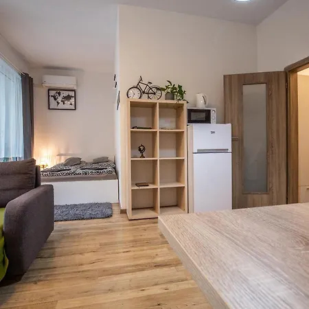 Sancova Street Apartment Bratislava