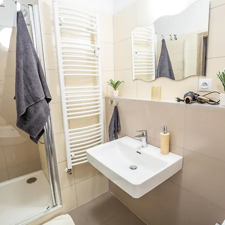 Sancova Street Apartment *