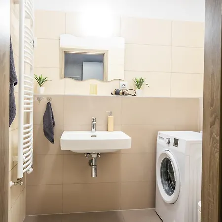 Sancova Street Apartment *